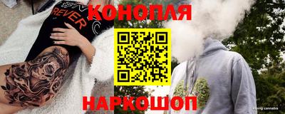 прущие грибы Пушкино