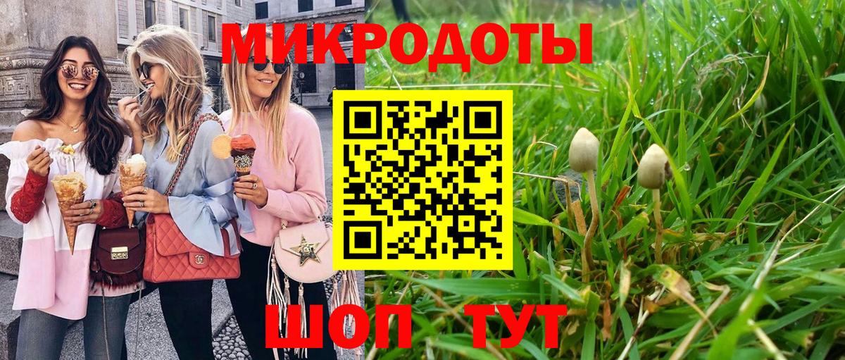 Полевской  Галлюциногенные грибы Psilocybine cubensis  Псилоцибиновые грибы MAGIC MUSHROOMS  Вход с VPN 